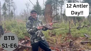 12 Moose Antlers in a Day | 2 Huge Browns!! | Beyond the Boundaries