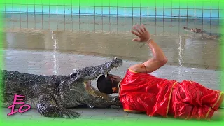 Man puts his head inside crocodile's jaw, kisses crocodile, eats crocodile slime