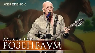 Александр Розенбаум - Жеребёнок (концерт «С Днём Победы!», БКЗ «Октябрьский», 2021)