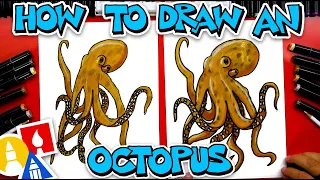 How To Draw A Realistic Octopus