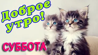 СУББОТА 🌞 ДОБРОГО УТРА / ДОБРОЕ УТРО / С ДОБРЫМ УТРОМ / ДОБРОГО УТРА ЛЮБИМОЙ / ДОБРОЕ УТРО КАРТИНКИ