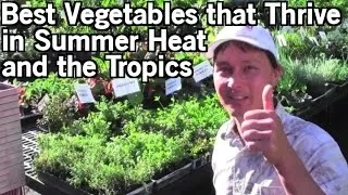 Best Vegetables that Thrive in Summer Heat & Tropical Climates