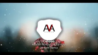 Calippo - Never Really Liked You (DJ Kym Remix)