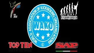 Ring 1,3 Saturday WAKO World Championships 2018