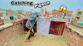 Catching Gola pigeon 😱| Kabooter Pakda |