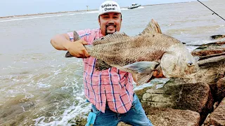 Caught my PB Black Drum @ the JETTY! 4K APRIL 2024