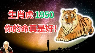 1950年的屬虎人，2024年下半年運勢，你真想不到！這是屬於你自己的運程，快看你的與眾不同！ #2024年生肖虎運程 #2024年屬虎人運勢 #2024年生肖虎運勢 #2024年屬虎人運程