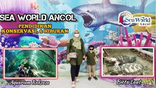 WOW‼️Aquarium Raksasa Bawah Laut di Sea World Ancol Jakarta PART 1 Ft @DaniNurRiyadiGundarya