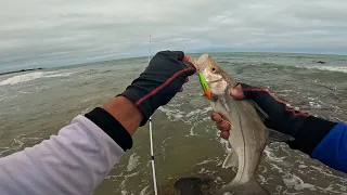 ROBALOS NA ISCA ARTIFICIAL NA BEIRA DA PRAIA PESCA ULTRALIGHT