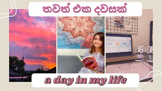 LIFE IN JAPAN 🇯🇵 | මගේ ජිවිතයෙන් තවත් එක දවසක් | A DAY IN MY LIFE | ONLINE LECTURES | STUDYING |