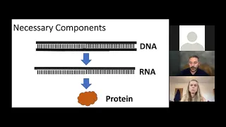 Retina UK webinar series: DNA and RNA base editing tools for Stargardt’s Disease