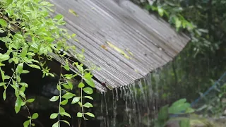 rain and tears sad piano music with rain and thunderstorm