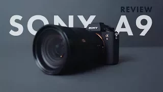 Sony A9 Review