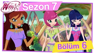 Winx Club - 7. Sezon 6. Bölüm - Lynphea’da macera [TAM BÖLÜM]