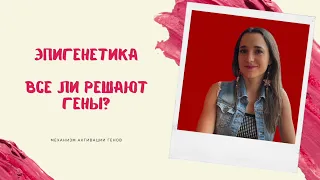 Эпигенетика. Метилирование ДНК. Как наш образ жизни влияет на экспрессию генов