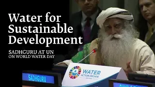 Sadhguru at UN on World Water Day - Water for Sustainable Development