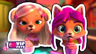 Przyjaciółki na zawsze | VIP PETS 🌈 KOLEKCJA ODCINKÓW ✨ Bajki dla DZIECI po POLSKU 📺