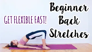 Back Stretches for the Inflexible! Beginner Flexibility Routine