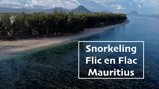 Snorkel Review -  Flic en Flac, Mauritius