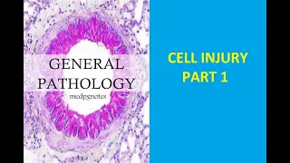 GENERAL PATHOLOGY II CHAPTER 2 II CELL INJURY II  PART 1 II ROBBINS PATHOLOGY