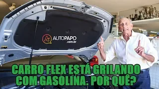 Flex está grilando quando é abastecido com gasolina. Por quê?