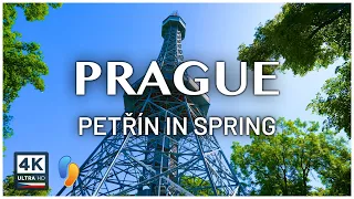 Ultimate Prague Spring Tour: Discover Petřín Hill!