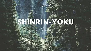 Sensitize - Shinrin-Yoku