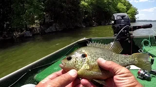 Locating Bluegill and Shellcracker When They Are NOT On Bed