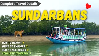 Sundarban Tour | Sundarban Vlog | Sundarban Tour Package Hindi | Sundarban Delta #sundarban