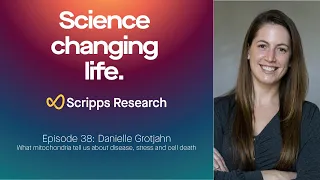 Episode 38 – Danielle Grotjahn: What mitochondria tell us about disease, stress and cell death