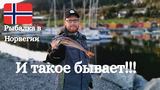 Рыбалка в Норвегии! Рыбалка с берега!! И такое бывает!! Норвегия! Осень 2019!!