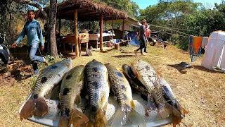 ACAMPAMENTO DESCOBRIMOS NOVO LOCAL OLHA O TANTO DE PEIXE QUE PEGAMOS PEIXE FRITO E PESCARIA!