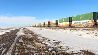 Eastbound CN Train (Intermodal) (Wednesday January 31 2024)