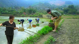 Kong and his girlfriend build a new life - Cultivating the land and planting wet rice