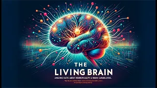 «Живой мозг. Удивительные факты о нейропластичности и возможностях мозга»  - 8