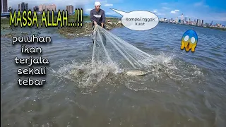 Massa Allah ‼️  Baru Kali Ini Jala Ikan Di Muara Sekali Tebar Dapat Puluhan Nila Babon / Fishing Net