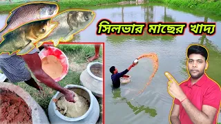 এই খাবারে বাড়বে তিনটি মাছ,সিলভার কাতল ও বিগহেড liquid fish feed making formula for Silver carp fish