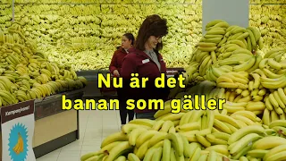 Nu är det bananer som gäller