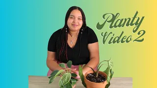 Planty video 2: REPOT WITH ME