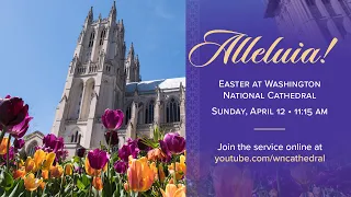 April 12, 2020: 11am Online Easter Sunday at the Cathedral