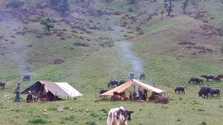 Organic Nepali Mountain Village Life in Nepal । Most Peaceful & Relaxation Village Life in winter