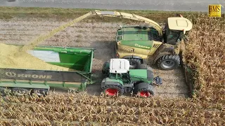 Großeinsatz Mais häckseln 2019 Krone Big X 780 14-reihig 10 Fahrzeuge farmer corn harvest Maisernte