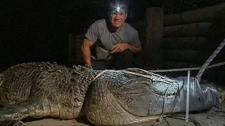 Catching a Giant Crocodile | Deadly 60 | Earth Unplugged