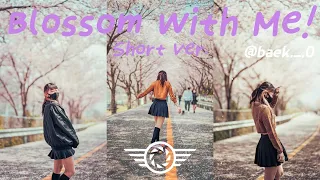 Blossom With Me! (Short Ver.) | 4K | Longboard | ARI (@baek._.0) | Busan | Directed by MINIHYUK.