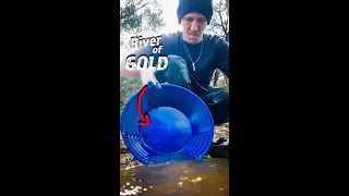 We Found the Actual River of GOLD!