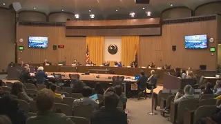 Phoenix City Council approves civilian review board over police department