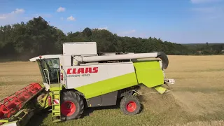 Žně 2021 Ječmen  Claas Lexion 450