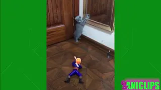 Run Run Run! Funny Cat Got Scared By The Moving Toy.plz plz like and subscribe and good?