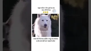 ଯାତ୍ରା ଗୀତ କେତେ ଦୁଃଖ ଦବୁ ଦେରେ କାଳିଆ