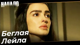 Побег Лейлы из Ирана | Начало Турецкий Сериал Особые сцены